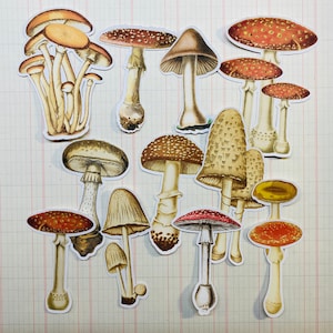 Mushroom - Toadstool stickers