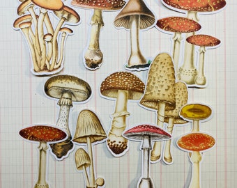 Mushroom - Toadstool stickers