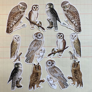 以下が含まれることがあります： さまざまな色とパターンを持つ12羽のフクロウのイラストのコレクション。フクロウは、とまっている、飛んでいる、横を向いているなど、さまざまなポーズで描かれています。イラストは、スクラップブッキング、カード作り、その他のクラフトプロジェクトに最適です。