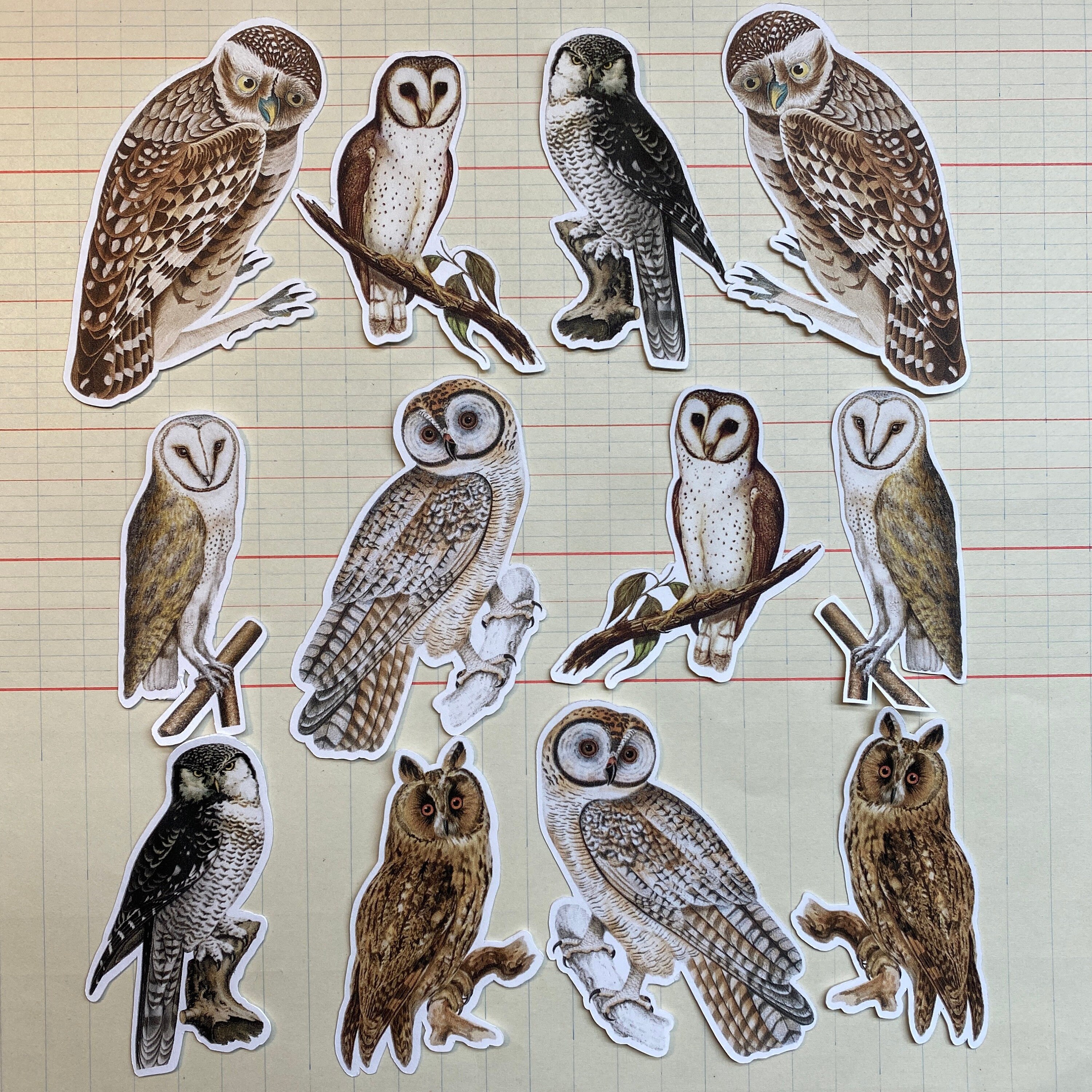 Owl stickers - pairs - left and right oriented