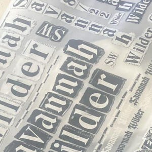 May include: A transparent sheet featuring multiple repeating black and white decals of the text Savannah Wilder and the numbers 8/22. The designs are presented in various sizes and orientations, showcasing a bold, serif typeface on rectangular backgrounds.