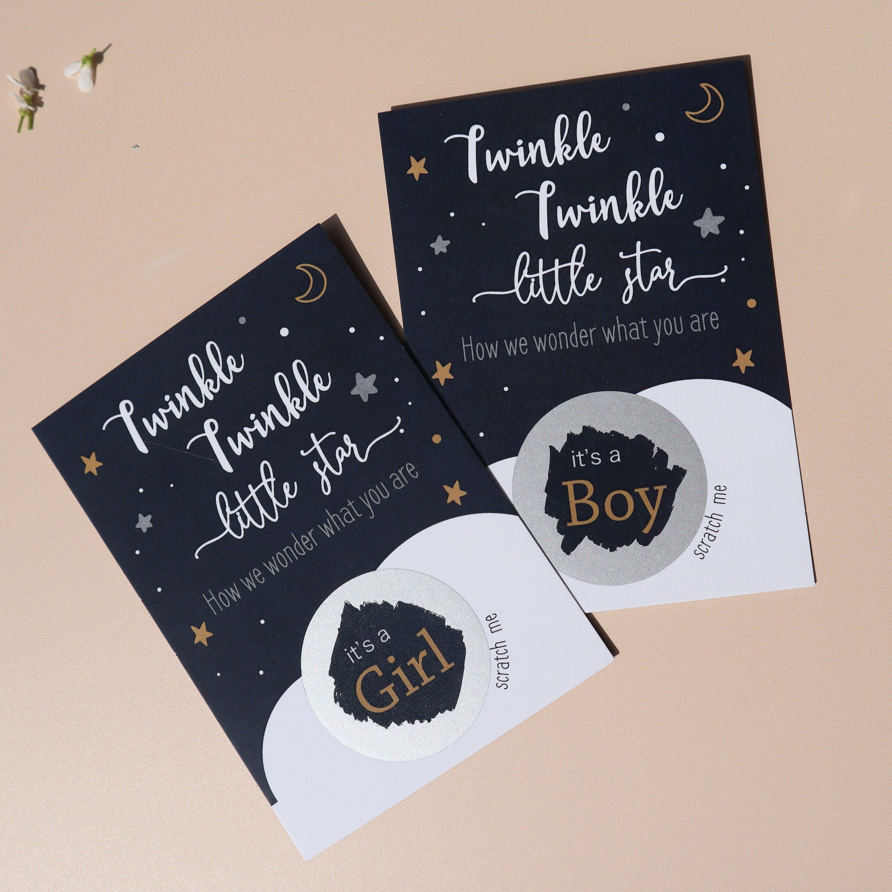 Boy or Girl Baby Blue or Pink Baby Shower Game 10 Twinkle Twinkle Little Star Gender Reveal Cards = Baby Gender Reveal He Or She