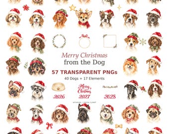 May include: A collection of 40 watercolor dog illustrations wearing Christmas hats and scarves, accompanied by 17 holiday elements including wreaths, frames, and text reading Merry Christmas from the Dog, 57 TRANSPARENT PNGs, 40 Dogs + 17 Elements.
