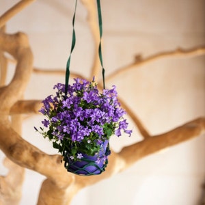 Reusable suggestion for the wine glass sling: hanging plants