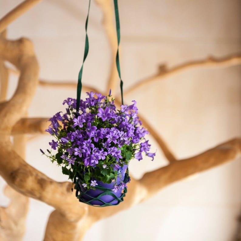 Reusable suggestion for the wine glass sling: hanging plants