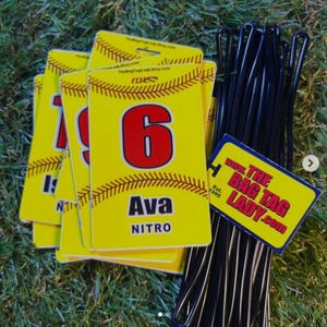 Personalized Softball Bag Tag: Jersey Number, Player Name, Team Color image 7