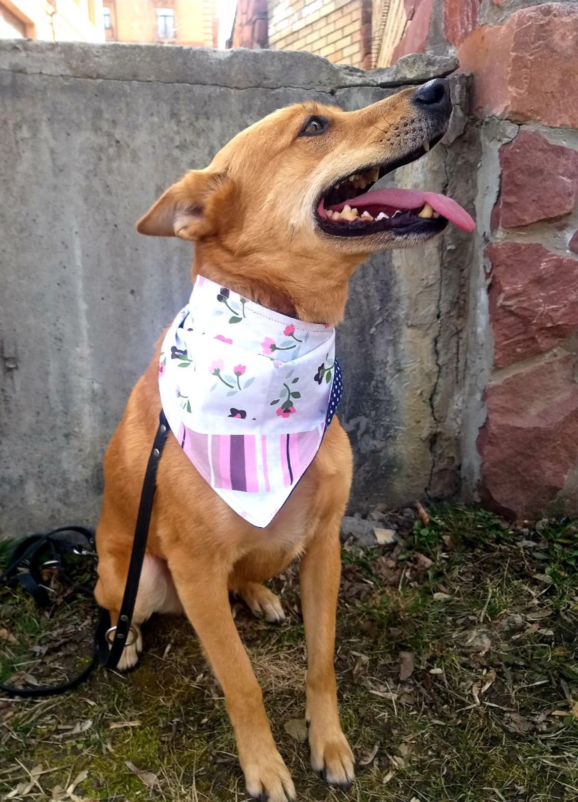Dogbandana Ukraine Symbol Triangular Pet Bandana Pet Etsy