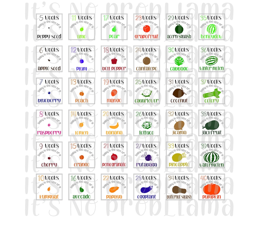 Baby Growth Chart | Fetal Growth Chart | Pregnancy Weeks | Baby is the Size  of a | Svg, Jpeg, Png | Cricut, Silhouette, Cameo - Etsy Israel, image size:1080x953