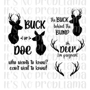 mâle ou biche | Révéler le genre | Révélation de genre drôle | Fichier numérique | svg, jpeg, png | Cricut, Silhouette, Camée