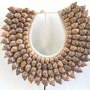 Traditional Seashell Necklace : Handmade Irian Asmat Tribal Shell Collar