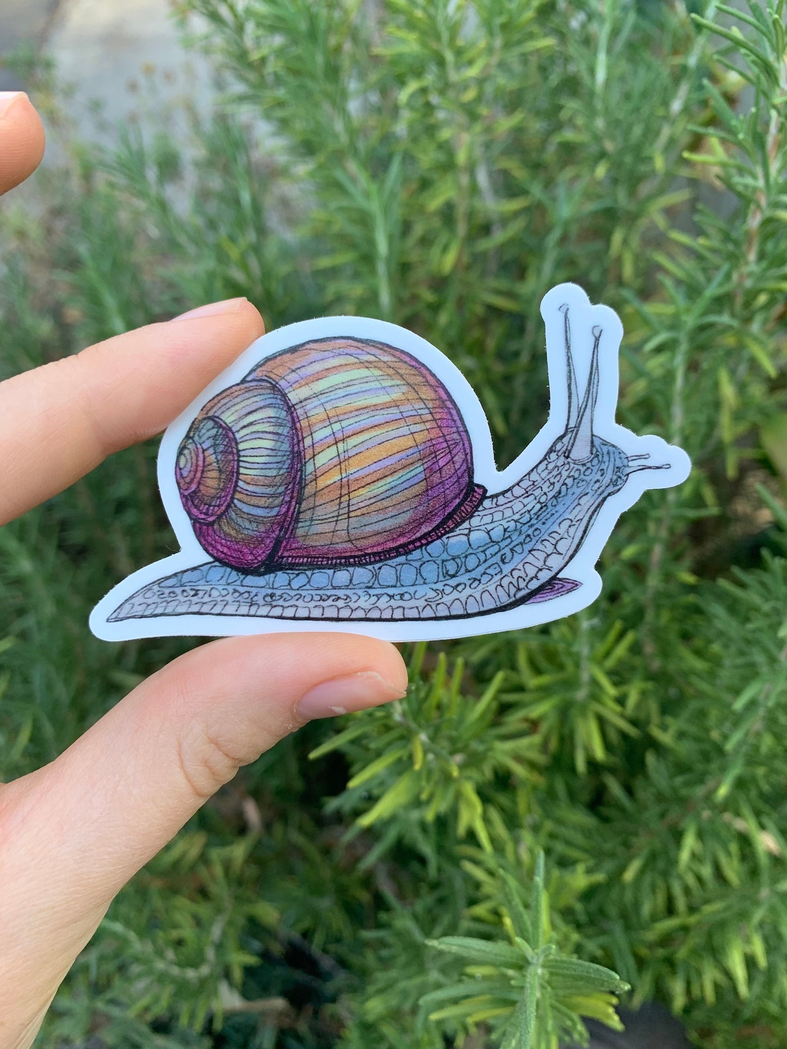 Snail sticker laptop sticker vinyl sticker waterproof Etsy