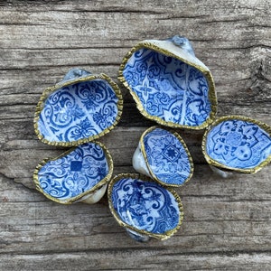 6x small deco shells, * blue/white * maritime decoration size approx. 3.5 cm - 5 cm.