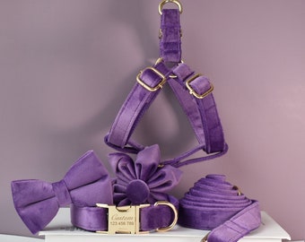 Collare per cani per ragazza o ragazzo fatto a mano in velluto spesso viola con fibbia personalizzabile incisa, papillon coordinato, fiore, guinzaglio, imbracatura disponibile