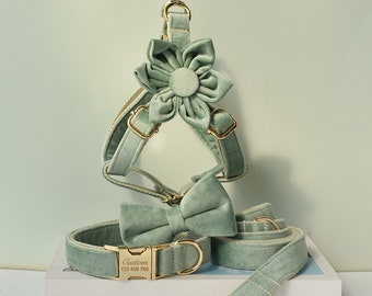 Ensemble collier, harnais et laisse pour chien en velours épais vert sauge gravé à la main personnalisé avec fleur de nœud papillon assortie détachable