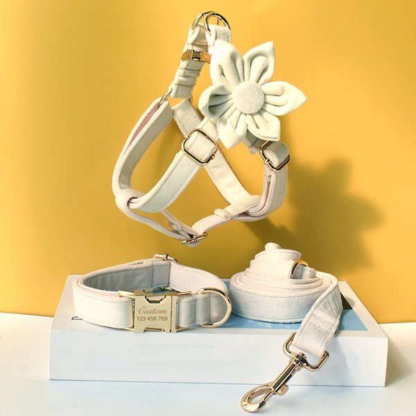 Ensemble collier, harnais et laisse personnalisés gravés à la main en velours épais blanc crème pour fille ou garçon avec noeud papillon amovible assorti