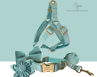 Personalisiertes graviertes handgemachtes Aqua dickes Samt-Hundehalsband oder Hundehalsband und Leine-Set, passende Fliege und Blumenschritt im Geschirr erhältlich