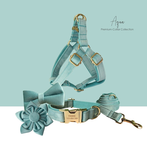 Personalized Engraved Handmade Aqua Thick Velvet Dog Collar or Dog Collar and Lead Set, Matching Bowtie and Flower Step In Harness Available