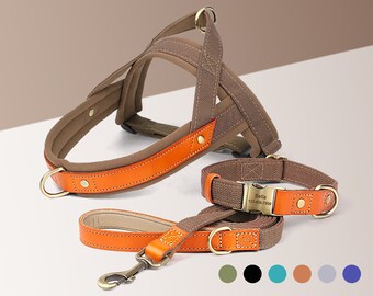 Personalized Engraved Handmade Nylon Leather Dog Collar, Leash, Harness featuring a Nylon Inner Webbing and Metal Buckle