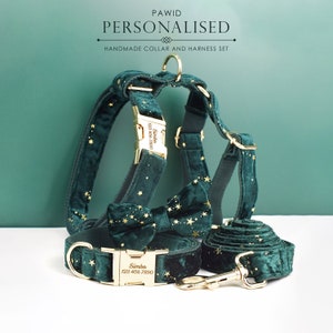 Pettorina per cani con stelle, personalizzata, verde con stelle dorate, collare per cani in velluto personalizzato, papillon, guinzaglio, per Natale, matrimonio, diverse combinazioni