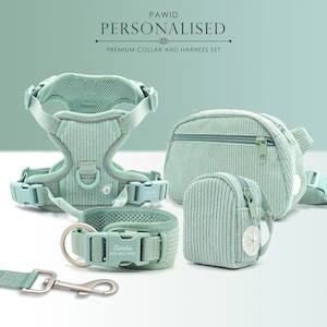 Personalised Dog Collar or Dog Harness Set - Mint Green No Pull Dog Harness - Dog Leash - Poop Bag Holder - Treat Bag - Different Combo