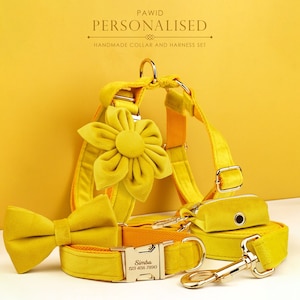 Yellow Dog Collar Soft Velvet Custom with Name, Personalized H Harness, Leash Set, Bow, Flower, Poop Bag Holder, Different Combo