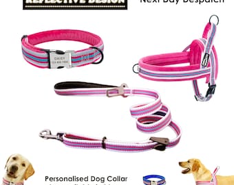 Personalized Dog Gift Premium Quality Nylon Fruitful Dog Collar Free Dog Name Engrave Personalized Dog Collar or Dog Collar Leash Combo