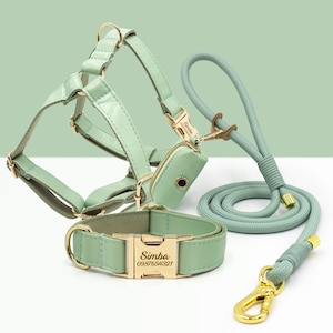 PU-Leder Hundehalsband, Halsband/Geschirr/Leiine/Kackbeutel, Hundehalsband Leine in Mintgrün, Metallschnalle mit Gravur, Hochzeit, Welpen Geschenk, Australien