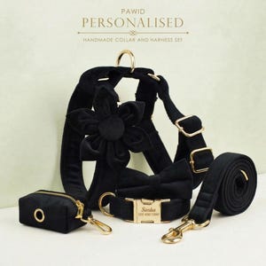 Black Personalized Female or Male Dog Collar with Name, Custom H-Style Dog Harness or Leash, Bow, Poop Bag Holder for Wedding or Daily Use