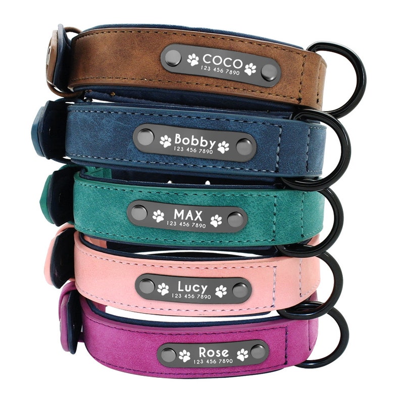 Personalized Engraved Plain Dog Collar Faux Leather Padded with Dog Name Engraved, Dog Collar or Lead Set Available 