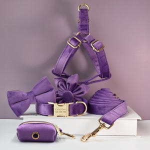 Collare per cani da ragazza o da ragazzo in velluto spesso viola fatto a mano con fibbia personalizzabile incisa, papillon abbinato, fiore, guinzaglio e pettorina disponibili