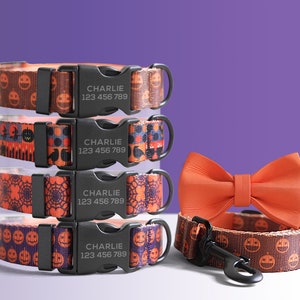 Halloween Dog Collar, Engraved Buckle in Purple, Orange, Pumpkin, Spider Web Pattern Personalized Dog Collar Set, Bowtie and Leash available