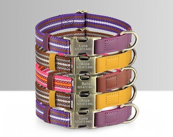 Reflektierendes Hundehalsband Aus Leder – Verstellbar, Mit Glocke & Sternen, Größen XS Bis L