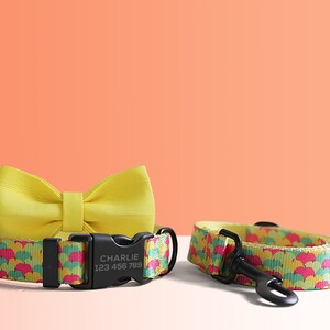 Personalized Multi-Colored Lightweight Dog Collar, Personalized Premium Dog Collar or Dog Collar and Leash Set with Matching Bowtie image 4