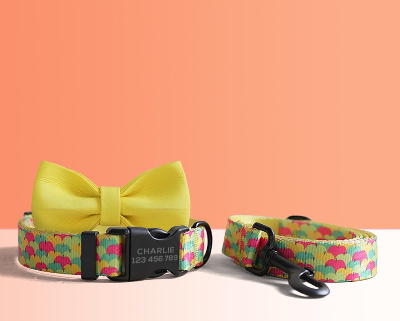 Personalized Multi-Colored Lightweight Dog Collar, Personalized Premium Dog Collar or Dog Collar and Leash Set with Matching Bowtie image 4