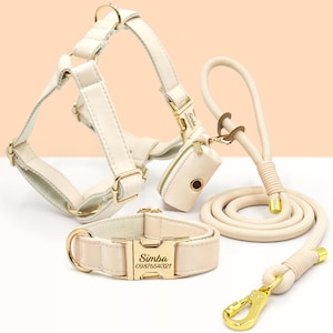 PU-Leder Hundehalsband, Halsband/Geschirr/Leiine/Kackbeutel, Hundehalsband Leine in Creme, Metallschnalle mit Gravur, Hochzeit, Welpen Geschenk, Australien