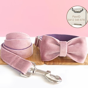 Personalized Engraved Handmade Velvet Dog Collar or Dog Collar and Leash, Dog Bowtie Available