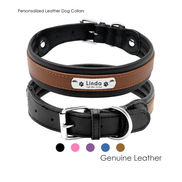 Leather Dog Collar Personalized with Name Made of Genuine Leather, Suitable for Medium to Large Dogs, 6 Colors