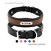 Dog Collar Personalized Genuine Leather, Medium to Large Dogs, 6 Colors 