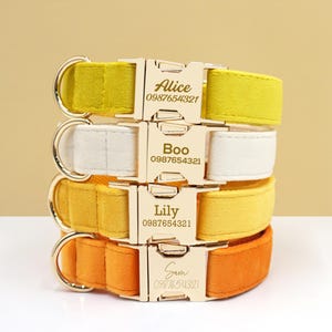 Yellow Dog Collar, Personalized Tag, Custom Dog Collar and Leash or Bow, Velvet Collar for Male Dog, Engraved Name on Dog Collar, Boy Collar