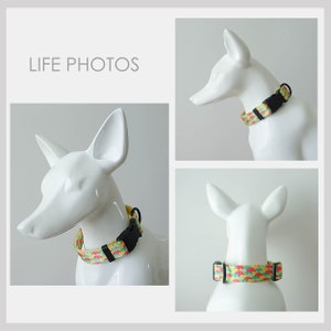 Personalized Multi-Colored Lightweight Dog Collar, Personalized Premium Dog Collar or Dog Collar and Leash Set with Matching Bowtie image 9