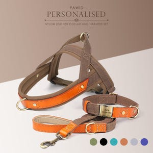 Personalized engraved handmade nylon leather dog collar, leash, harness featuring a nylon inner webbing and metal buckle