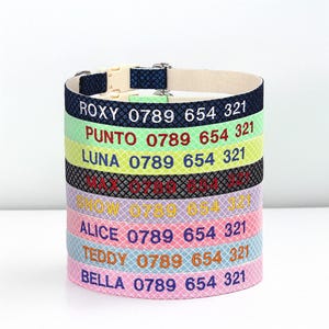 Personalized Dog Collar, Custom Embroidered Nylon Name for Small to Large Dog, Red, Blue, Green, Au, Us, Uk, Ca Fast Free Ship