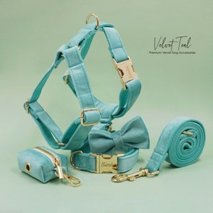 Custom Teal Velvet Personalized Dog Collar, Matching Dog Bowtie, Dog Leash, Dog Harness and Dog Poop Bag, Different Combo