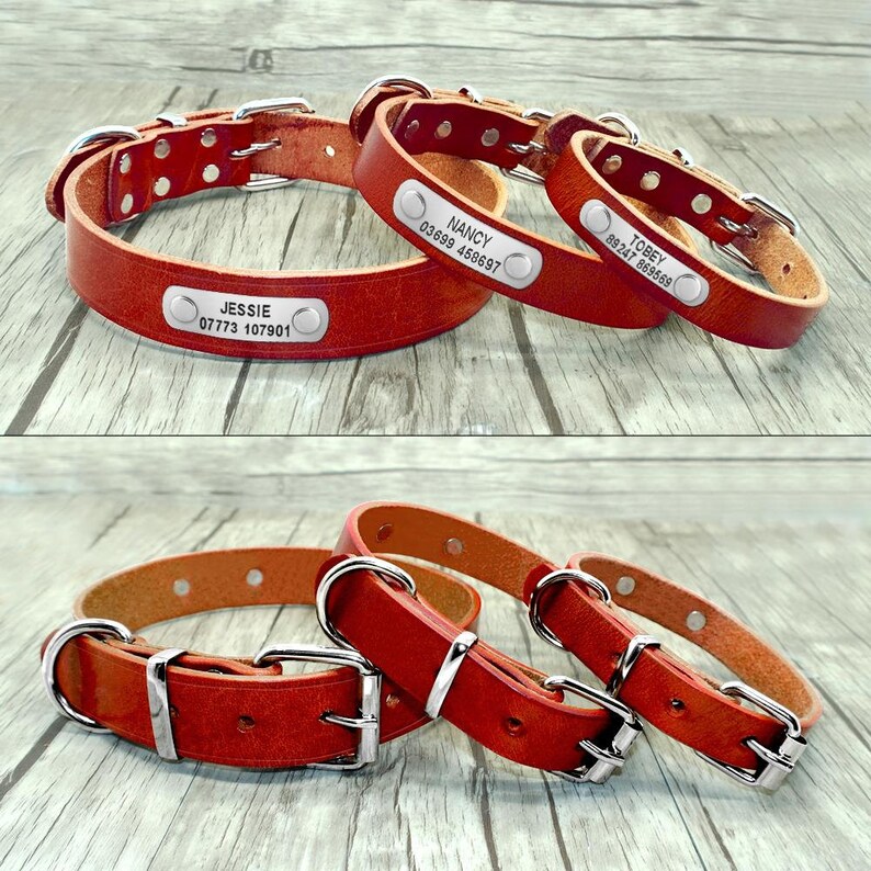 Personalized Engraved Dog Collar Classic Genuine Brown Leather Etsy