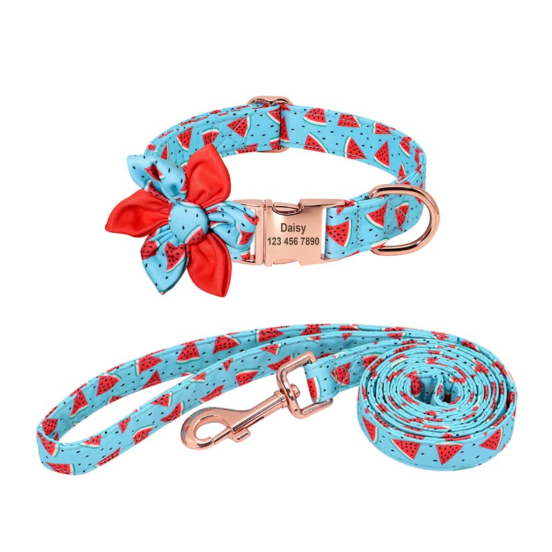 Personalized Dog Gift Premium Quality Nylon Fruitful Dog Collar Free Dog Name Engrave Personalized Dog Collar or Dog Collar Leash Combo