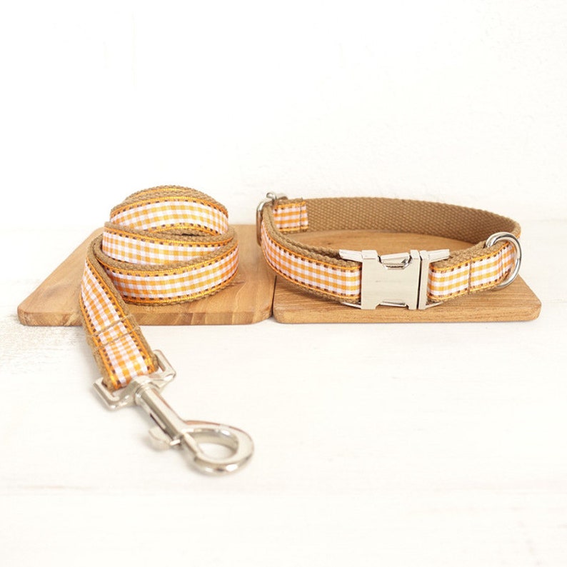 Orange Scotland Design Dog Collar and Leash set