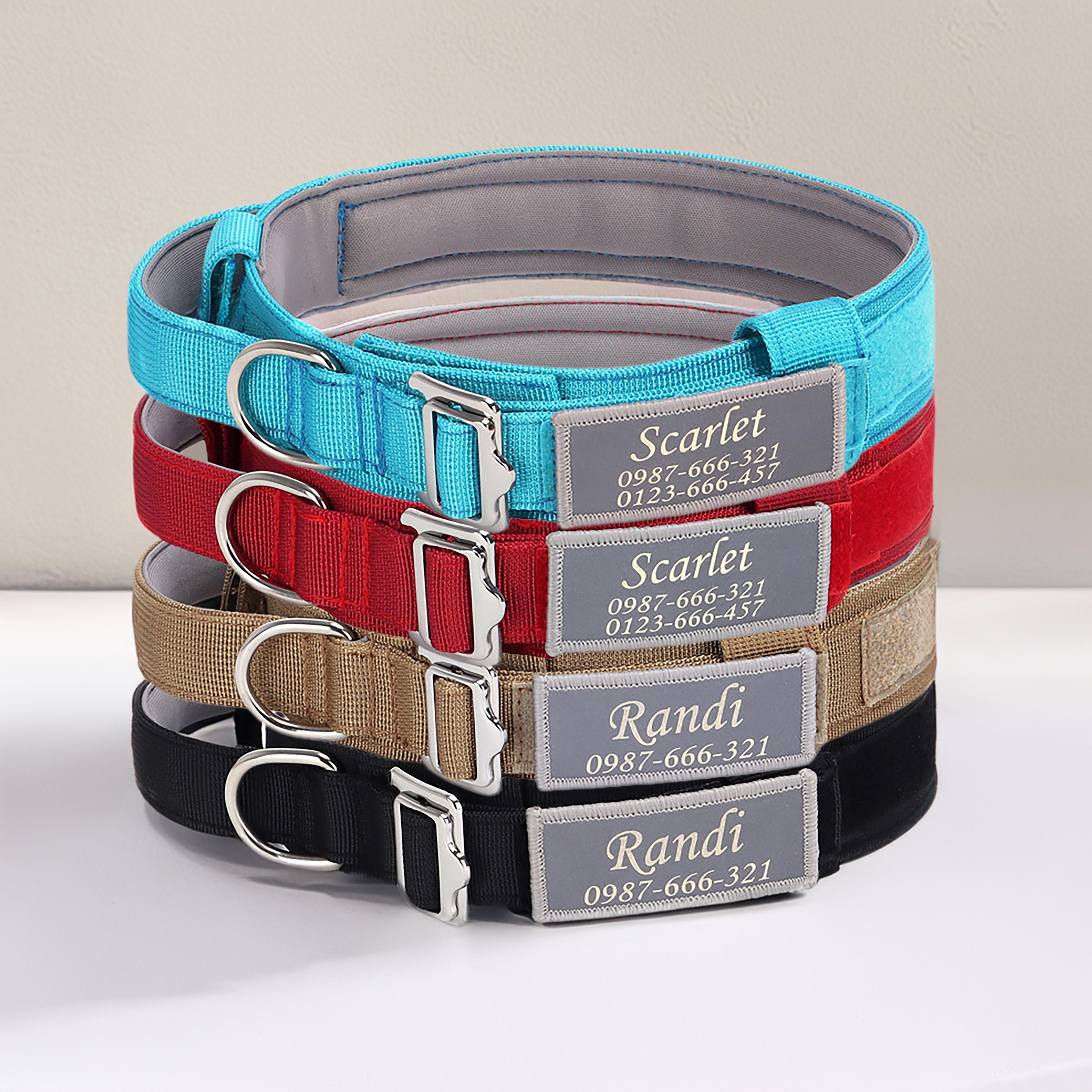 Chew proof collars for dogs 2025