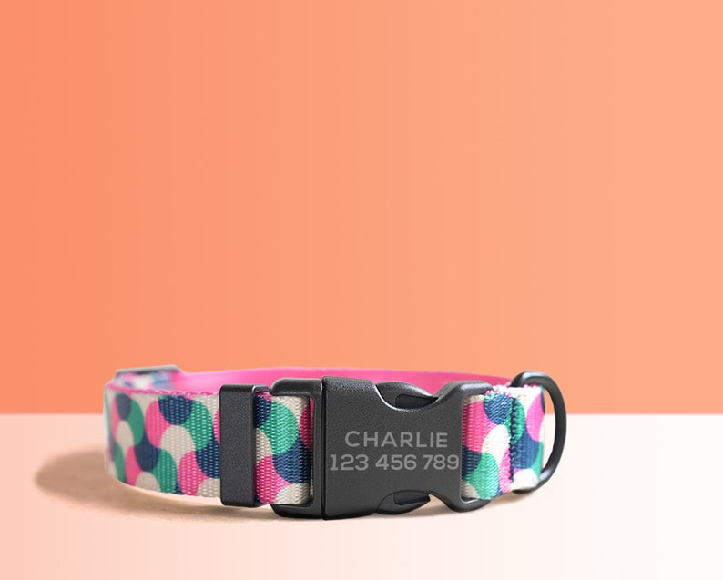 Personalized Multi-Colored Lightweight Dog Collar, Personalized Premium Dog Collar or Dog Collar and Leash Set with Matching Bowtie Gummy Worms