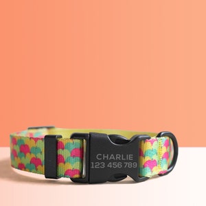 Personalized Multi-Colored Lightweight Dog Collar, Personalized Premium Dog Collar or Dog Collar and Leash Set with Matching Bowtie Apple Party