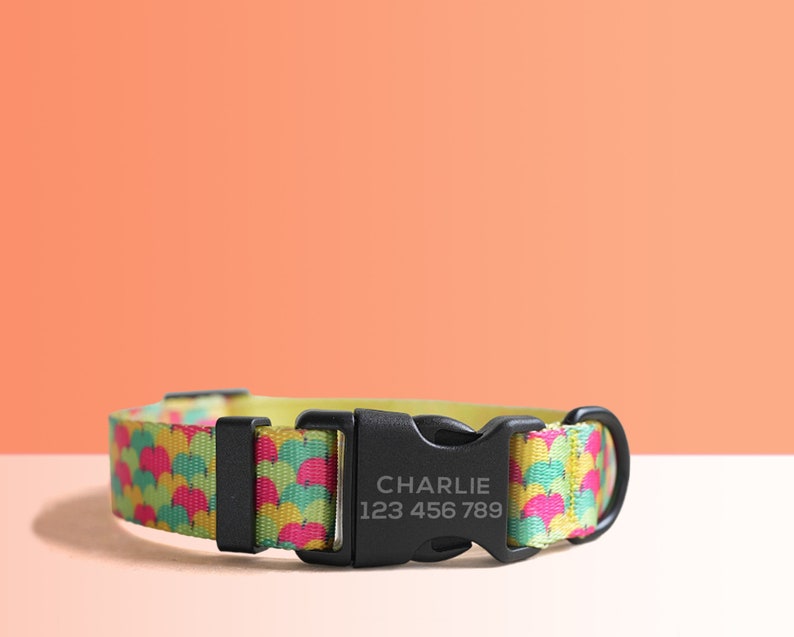 Personalized Multi-Colored Lightweight Dog Collar, Personalized Premium Dog Collar or Dog Collar and Leash Set with Matching Bowtie Apple Party